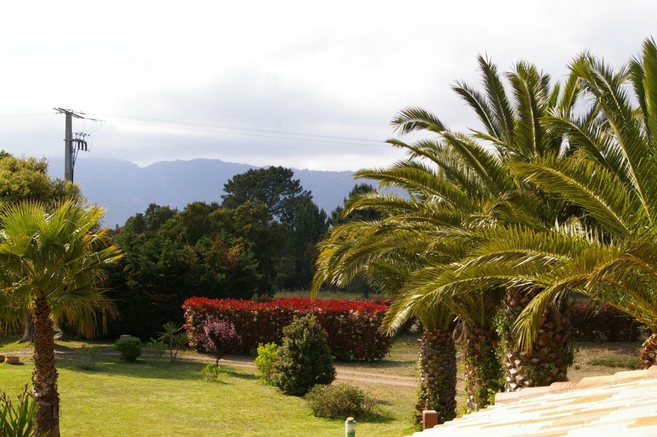 Residence U Re D' Alzettu Porto-Vecchio  Bagian luar foto