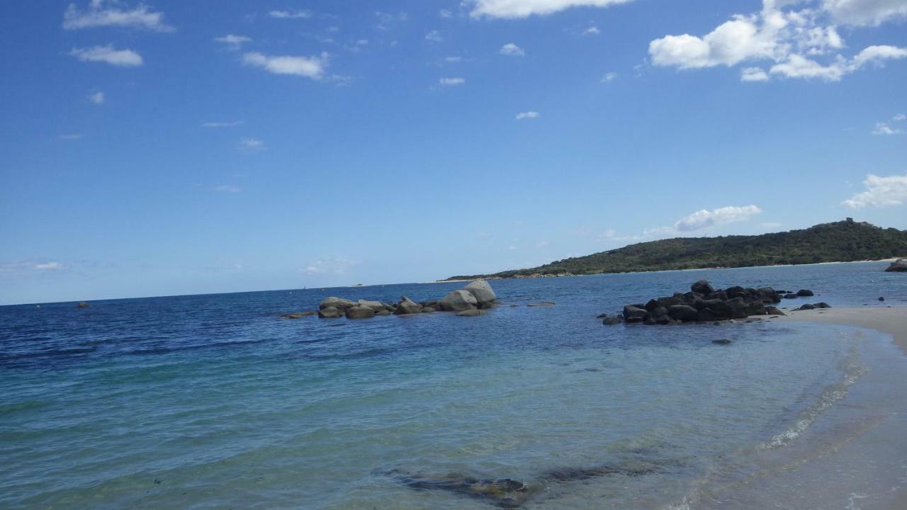 Residence U Re D' Alzettu Porto-Vecchio  Bagian luar foto